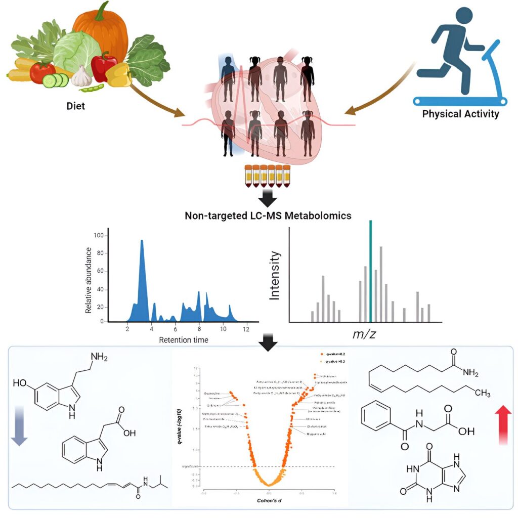 Lifestyle intervention from childhood to adolescence affects metabolism even years later, the study reveals